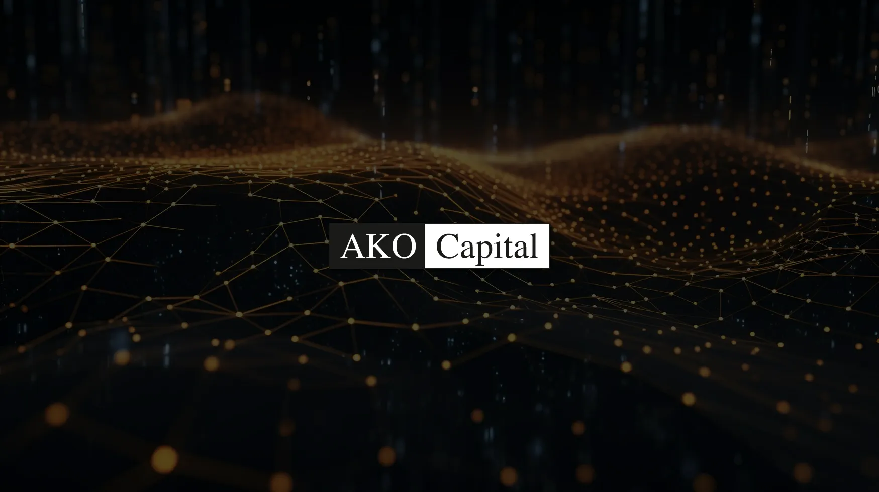Portfolio Breakdown— AKO Capital feature image